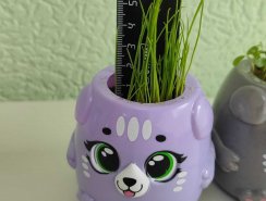 img (7)